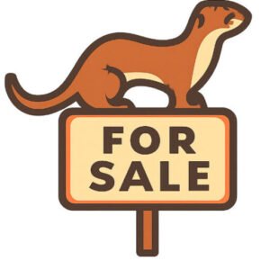 baby ferrets for sale​